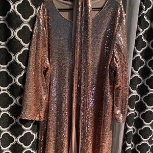 Shein Rosegold Sequin Dress - 3X